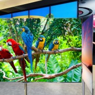 LG 55-inch OLED 3D TV at CES 2012